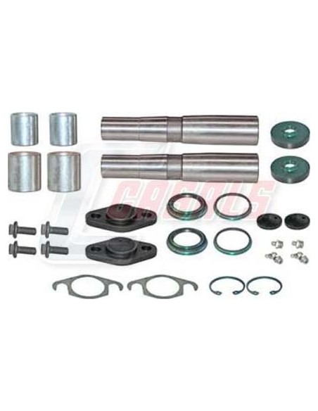 Kit De Reparación De Mangueta MAN IVECO CASALS 69186