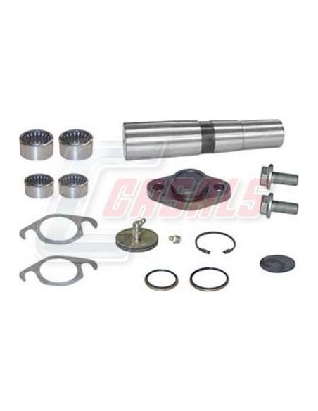 Kit De Reparación De Mangueta MAN IVECO CASALS 69188