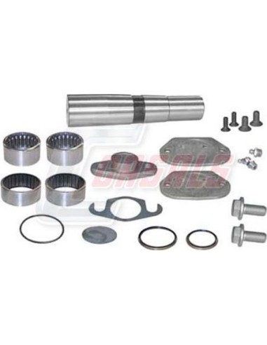 Kit De Reparación De Mangueta MAN IVECO CASALS...