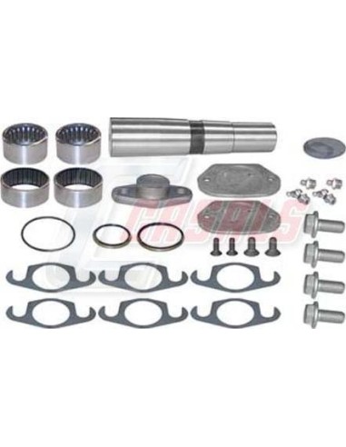 Kit De Reparación De Mangueta MAN IVECO CASALS...