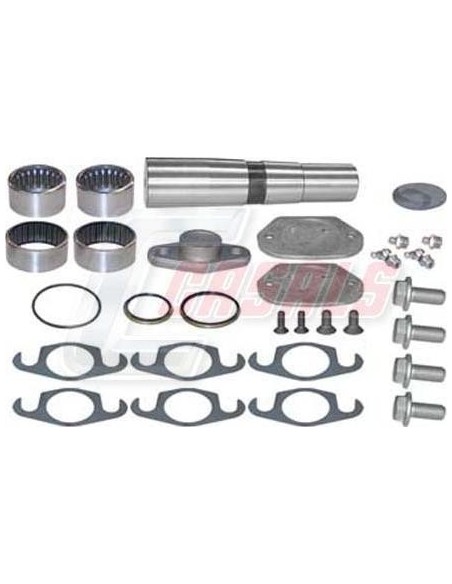 Kit De Reparación De Mangueta MAN IVECO CASALS 69191