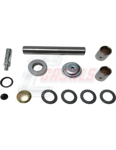 Kit De Reparación De Mangueta MAN MITSUBISHI...