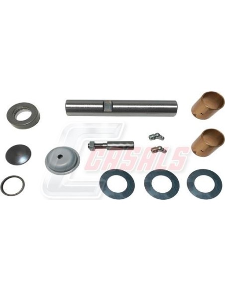 Kit De Reparación De Mangueta MAN MITSUBISHI CASALS 69208