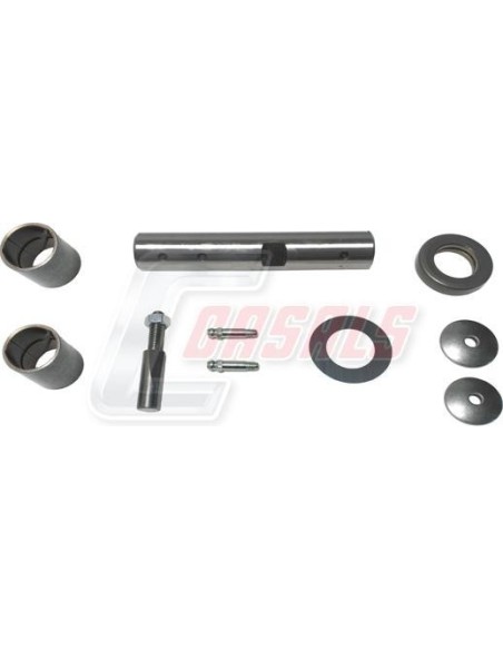 Kit De Reparación De Mangueta MAN NISSAN CASALS 69209