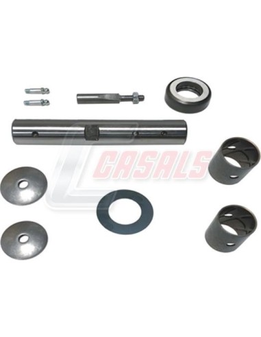 Kit De Reparación De Mangueta MAN NISSAN CASALS...