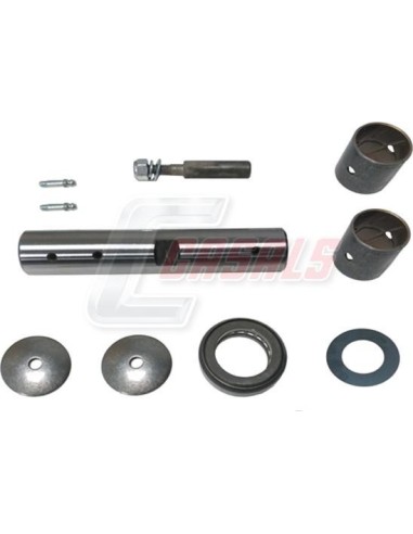 Kit De Reparación De Mangueta MAN NISSAN CASALS...