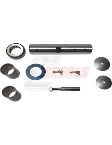Kit De Reparación De Mangueta MAN NISSAN CASALS...