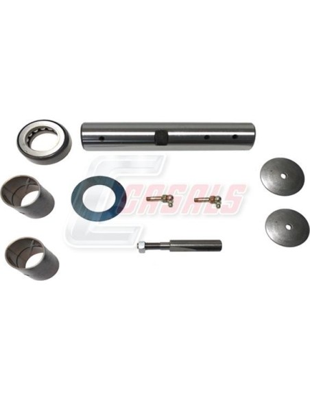 Kit De Reparación De Mangueta MAN NISSAN CASALS 69213