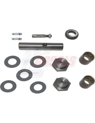 Kit De Reparación De Mangueta MAN NISSAN CASALS...