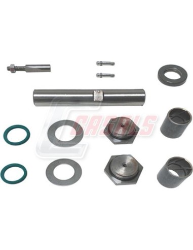 Kit De Reparación De Mangueta MAN NISSAN CASALS...
