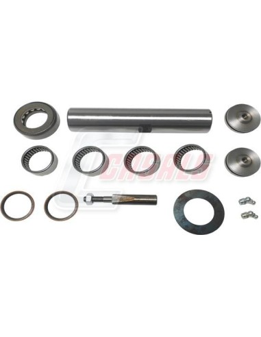Kit De Reparación De Mangueta MAN NISSAN CASALS...