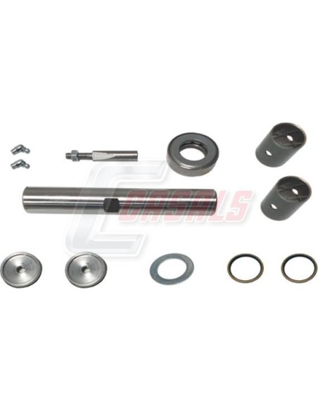 Kit De Reparación De Mangueta MAN NISSAN CASALS 69220