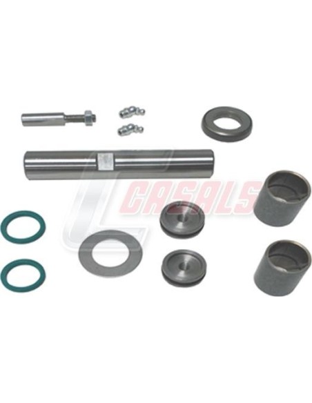Kit De Reparación De Mangueta MAN NISSAN CASALS 69222