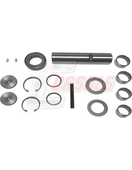 Kit De Reparación De Mangueta MAN NISSAN CASALS 69223
