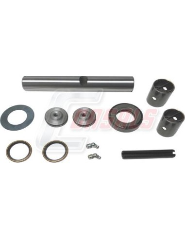 Kit De Reparación De Mangueta MAN NISSAN CASALS...