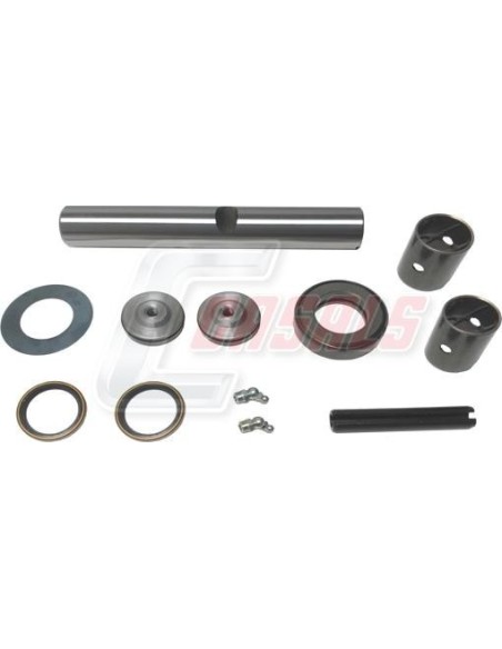 Kit De Reparación De Mangueta MAN NISSAN CASALS 69224