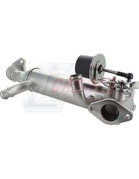 EGR VOLKSWAGEN CASALS 97126