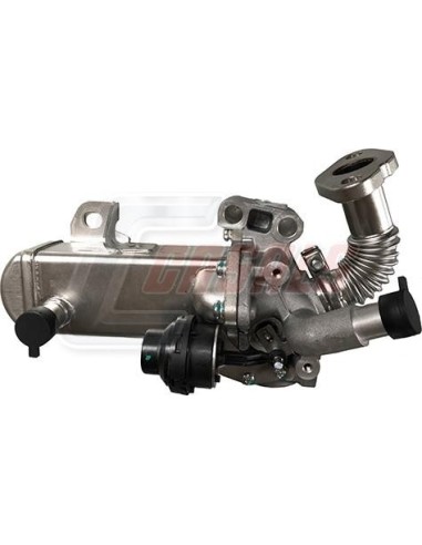 EGR NISSAN CASALS 97131