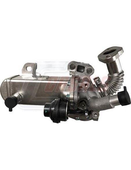 EGR NISSAN CASALS 97131
