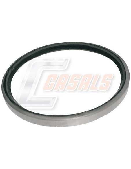 Retén de buje para IVECO CASALS 20358