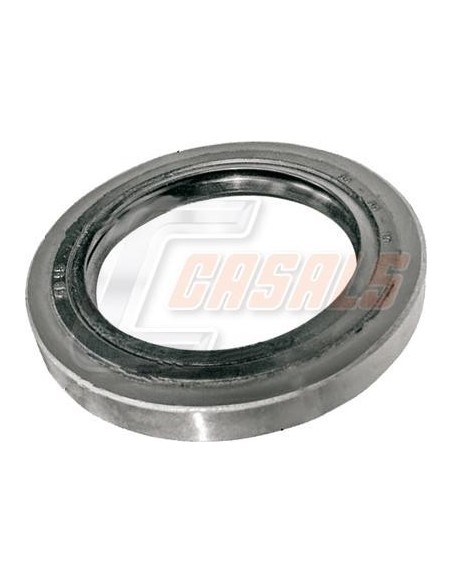 Tuerca de buje para IVECO, IVECO DAILY, LECIÑENA CASALS 20365
