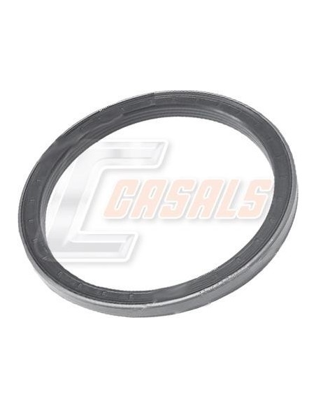 Tuerca de buje para SCANIA, SMB CASALS 20370