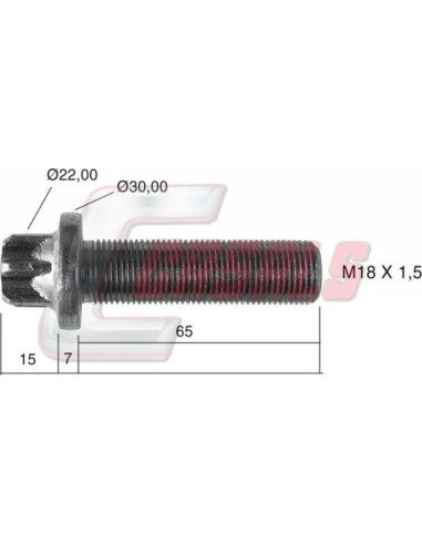 Rodamiento de buje para SAF, SAUER CASALS 21506