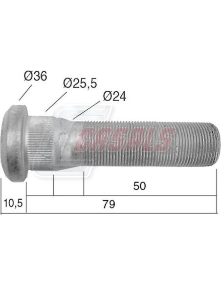 Tornillería de rueda para RENAULT CASALS 21536