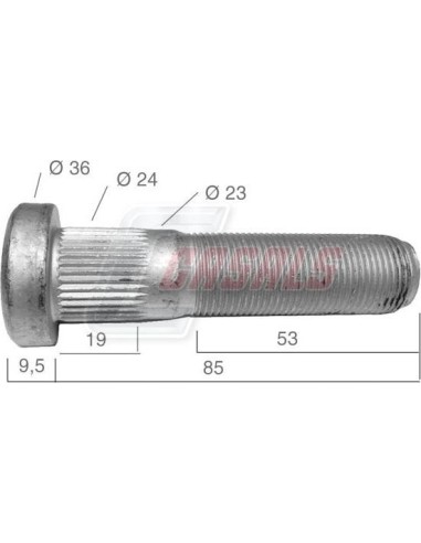 Tornillería de rueda CASALS 21543