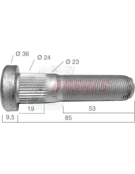 Tornillería de rueda CASALS 21543
