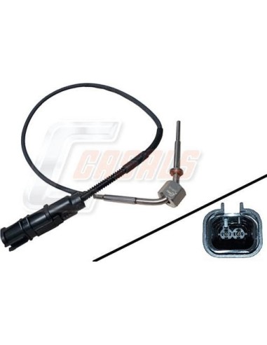 Sensor temperatura agua MAN CASALS 50613