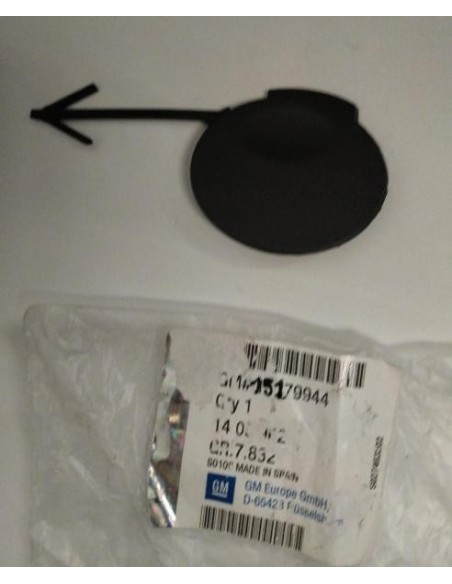 Recambio Opel 13179944 Trampilla de Acceso