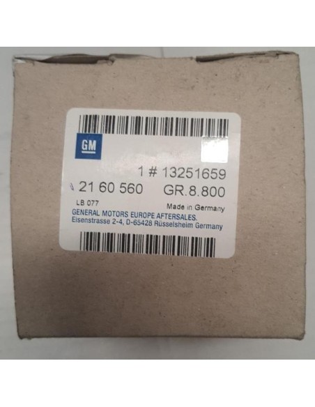 Recambio Opel 13251659 Listón Adorno Marco de Ventana de Puerta Delantera Trasera