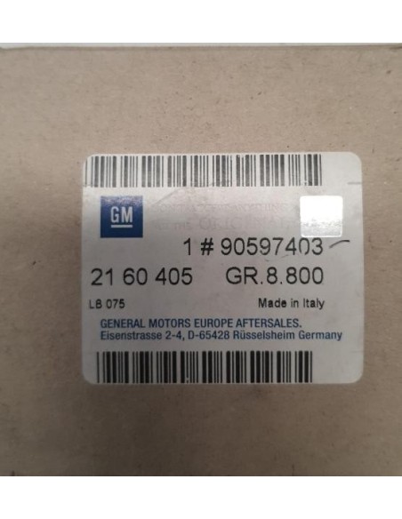 Recambio Opel 90597403 Lista de Adorno Marco de Ventana Puerta Trasera Izquierda