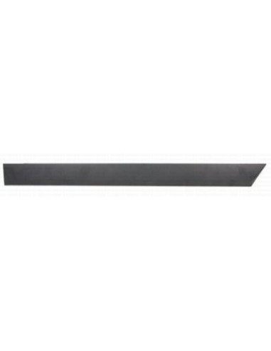 Recambio Opel 24461103 Protector de Puerta