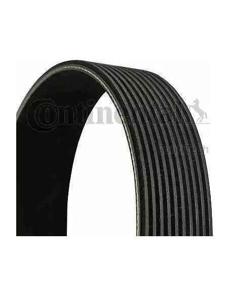 Correa auxiliar Poly-V Continental 10PK1570 10 canales 1570 mm