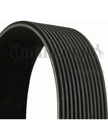 Correa auxiliar Poly-V Continental 12PK1550 12...