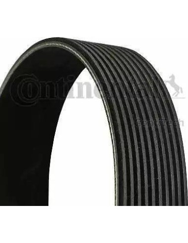 Correa auxiliar Poly-V Continental 10PK1447 10...