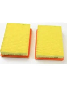 A1114-2 Filtro de aire Purflux en Oferta