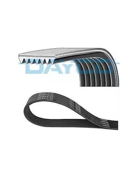 Correa auxiliar Poly-V Dayco 7PK1290 7 canales 1290 mm