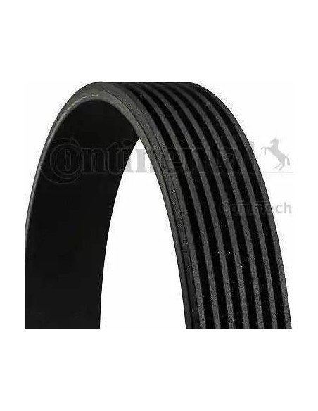 Correa auxiliar Poly-V Continental 7PK1175 7 canales 1175 mm