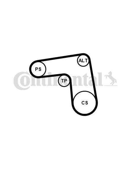 Correa auxiliar Poly-V Continental 7PK1076K1 7 canales 1076 mm