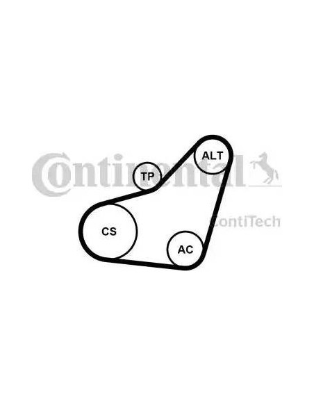 Correa auxiliar Poly-V Continental 6PK800K1 6 canales 800 mm