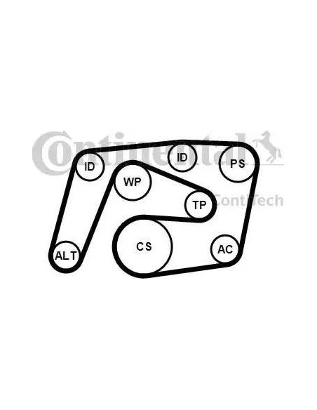 Correa auxiliar Poly-V Continental 6PK2260K1 6 canales 2260 mm