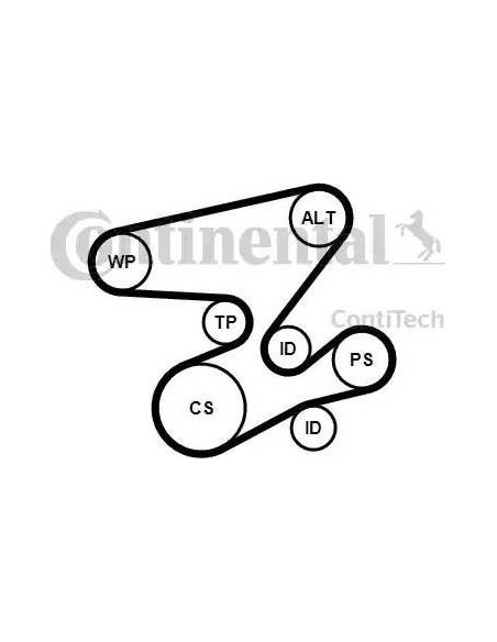Correa auxiliar Poly-V Continental 6PK2080K1 6 canales 2080 mm