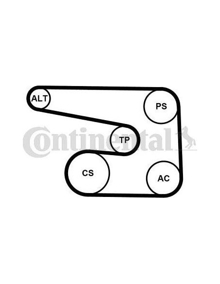 Correa auxiliar Poly-V Continental 6PK1873K5 6 canales 1873 mm