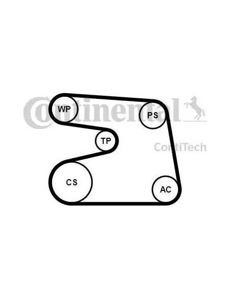 Correa auxiliar Poly-V Continental 6PK1873K4 6 canales 1873 mm
