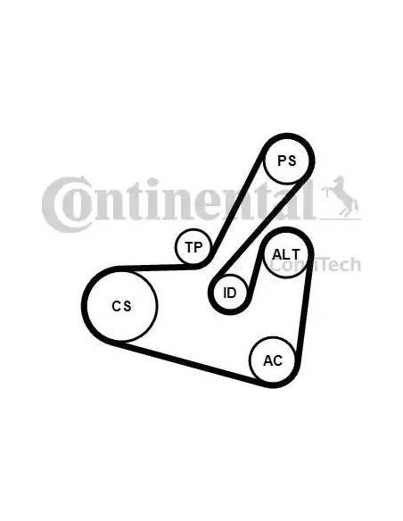 Correa auxiliar Poly-V Continental 6PK1750K1 6 canales 1750 mm