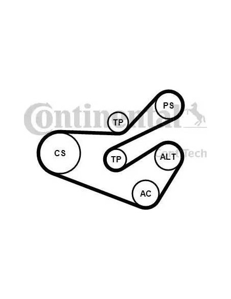 Correa auxiliar Poly-V Continental 6PK1740K3 6 canales 1740 mm