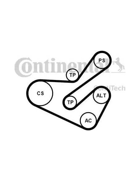 Correa auxiliar Poly-V Continental 6PK1740K1 6 canales 1740 mm